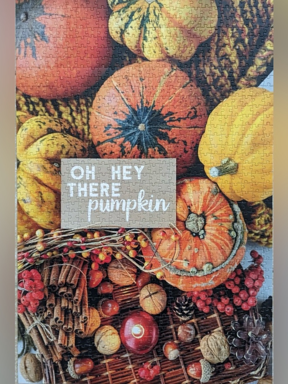 Oh Hey There Pumpkin Puzzle 1000 Pc 29.5 x 19.5" Perfectly Puzzling Autumn Fall - Picture 4 of 5